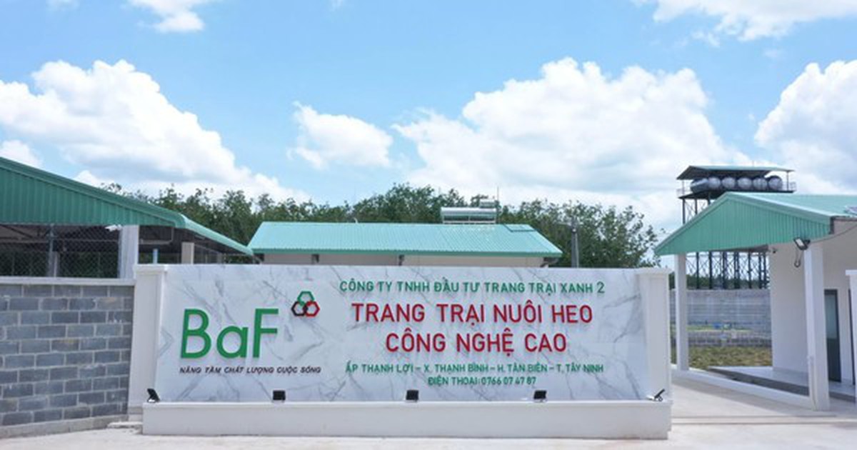 tin tức tài chính