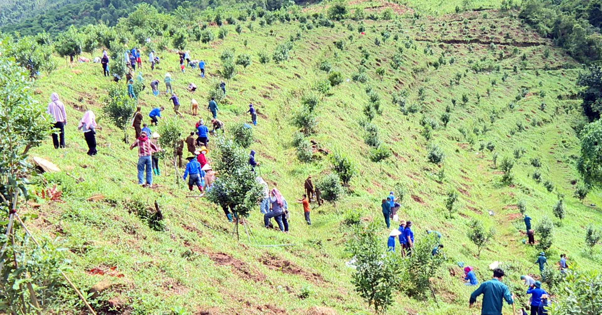 Cuộc chốt giá cà phê - Nguồn ảnh: vietnamnet.vn