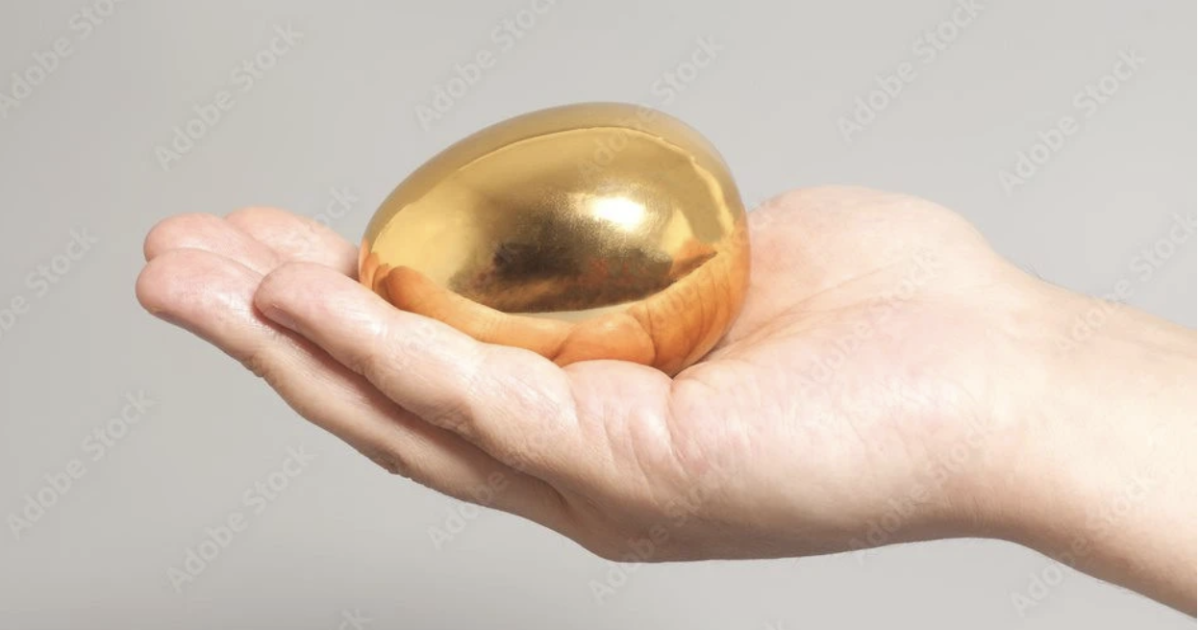 Danh mục 7 cổ phiếu tiềm năng - Nguồn ảnh: vneconomy.vn