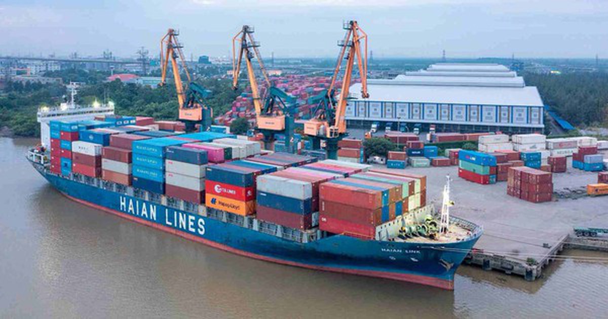 Xếp dỡ Hải An chốt ngày tổ chức ĐHĐCĐ thường niên năm 2026 - Nguồn ảnh: cafef.vn