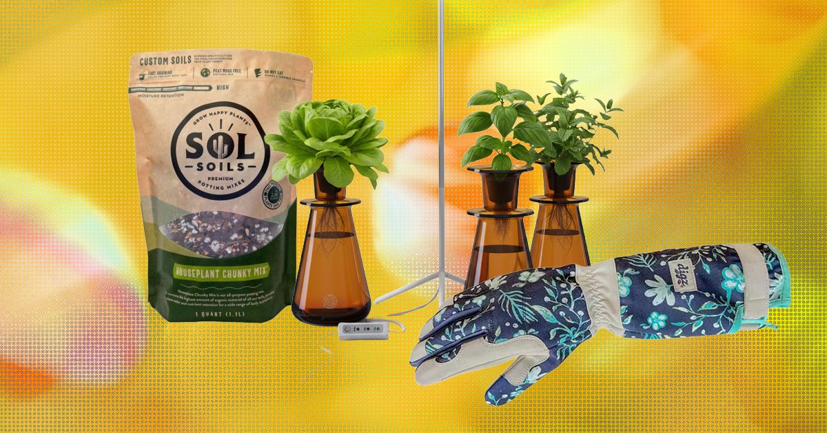 Quà tặng cho người yêu cây - Nguồn ảnh: wired.com