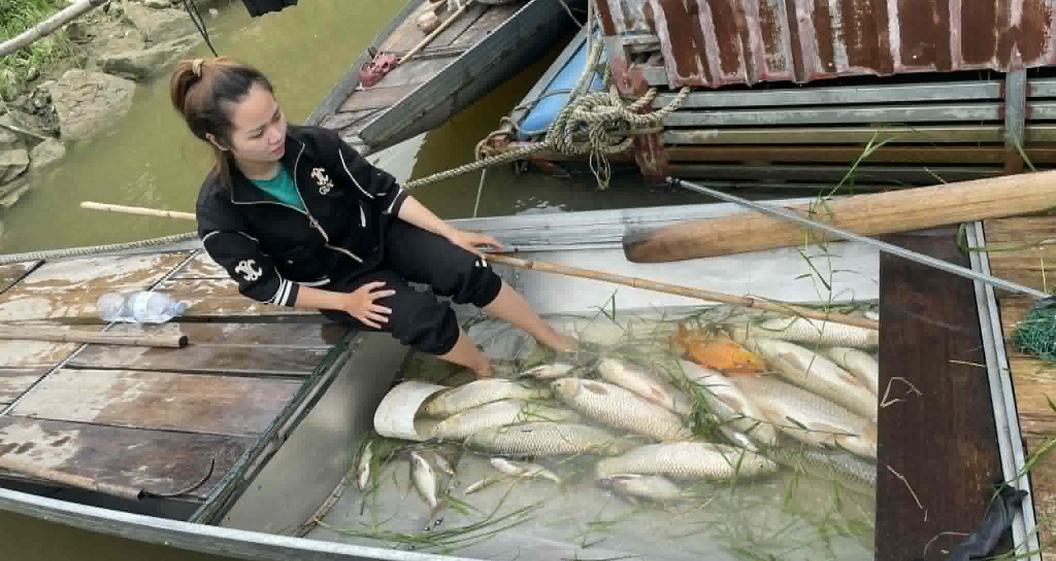 Cá nuôi lồng trên sông Lam - Nguồn ảnh: vietnamnet.vn