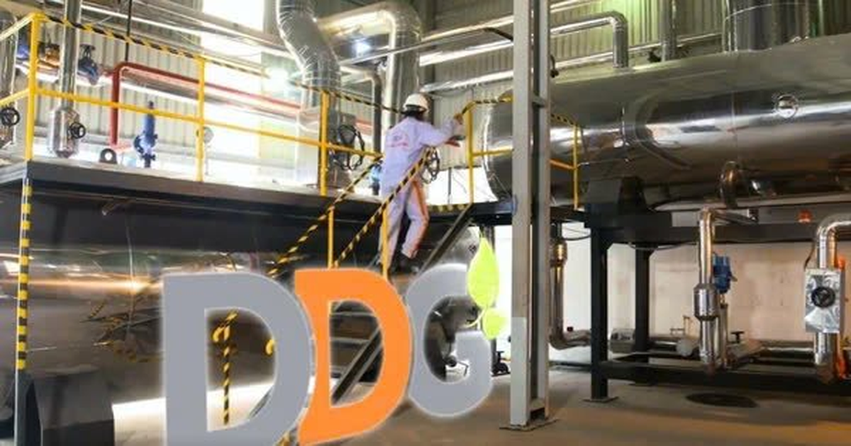 DDG đối diện nguy cơ hủy niêm yết - Nguồn ảnh: cafef.vn
