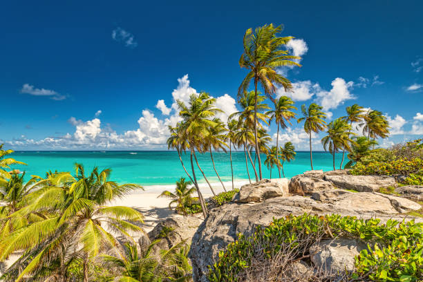 Fintech Barbados - Nguồn ảnh: thefintechtimes.com