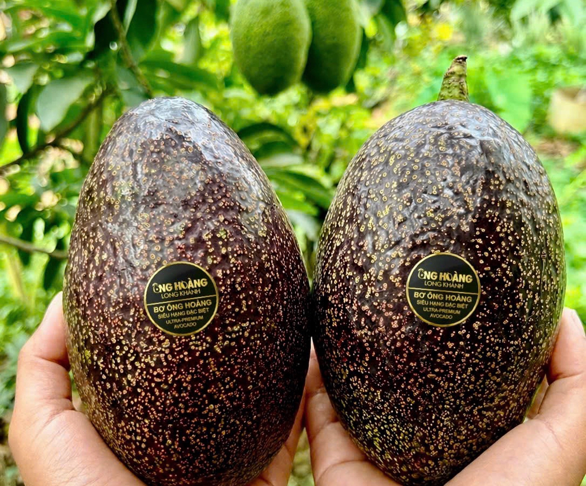 Bơ 160.000 đồng/kg - Nguồn ảnh: cafebiz.vn