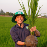Ảnh minh họa từ ${$node["Webhook1"].json.body.source_name} về tài chính