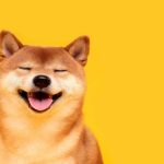 Ảnh minh họa từ ${$node["Webhook1"].json.body.source_name} về tài chính