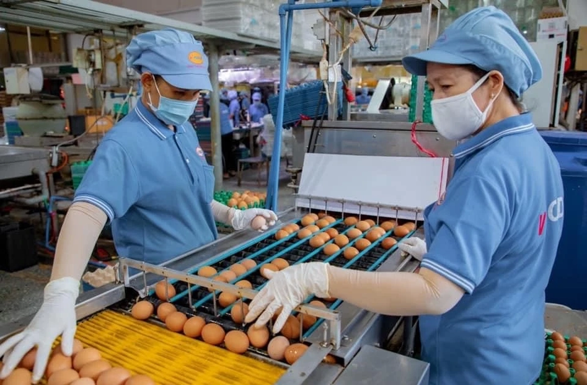 Vay vốn ngân hàng - Nguồn ảnh: cafebiz.vn