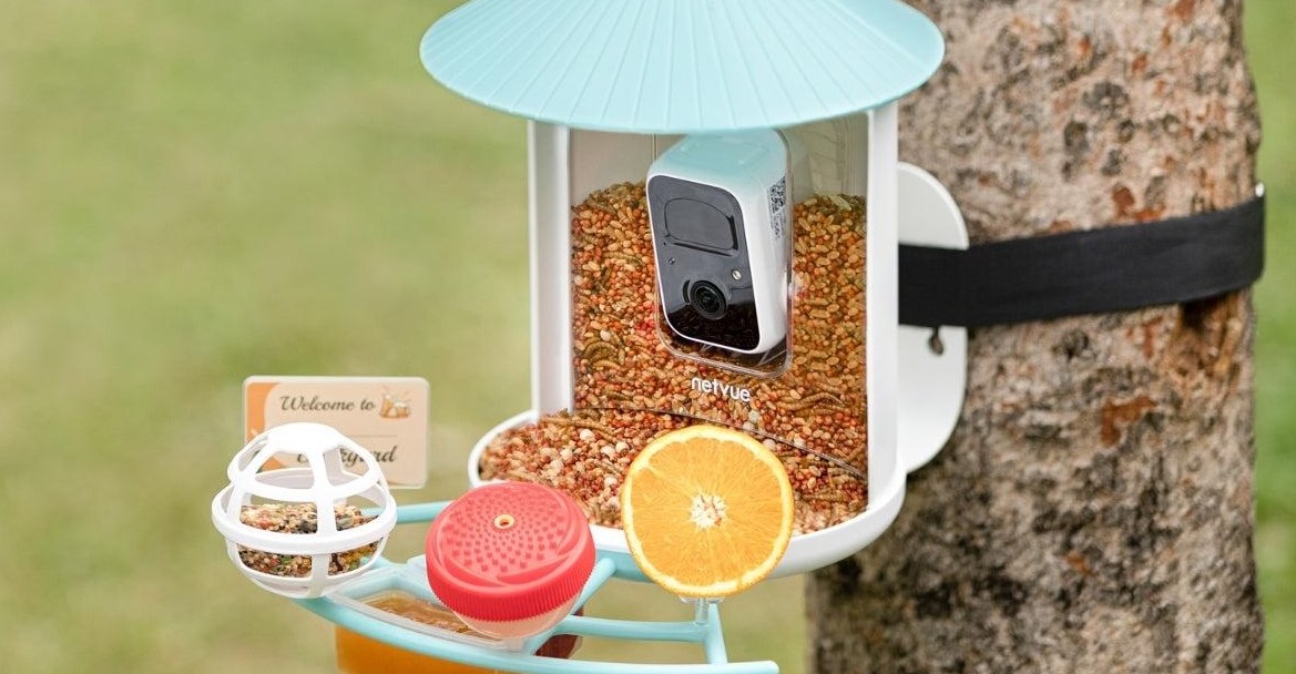 Smart bird feeder - Nguồn ảnh: theverge.com