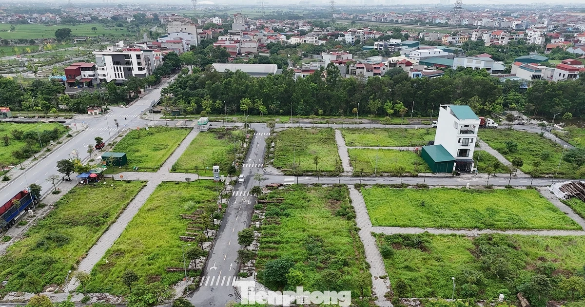 Đất tái định cư di dời dự án cầu Tứ Liên - Nguồn ảnh: cafebiz.vn