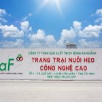 Ảnh minh họa từ ${$node["Webhook1"].json.body.source_name} về tài chính