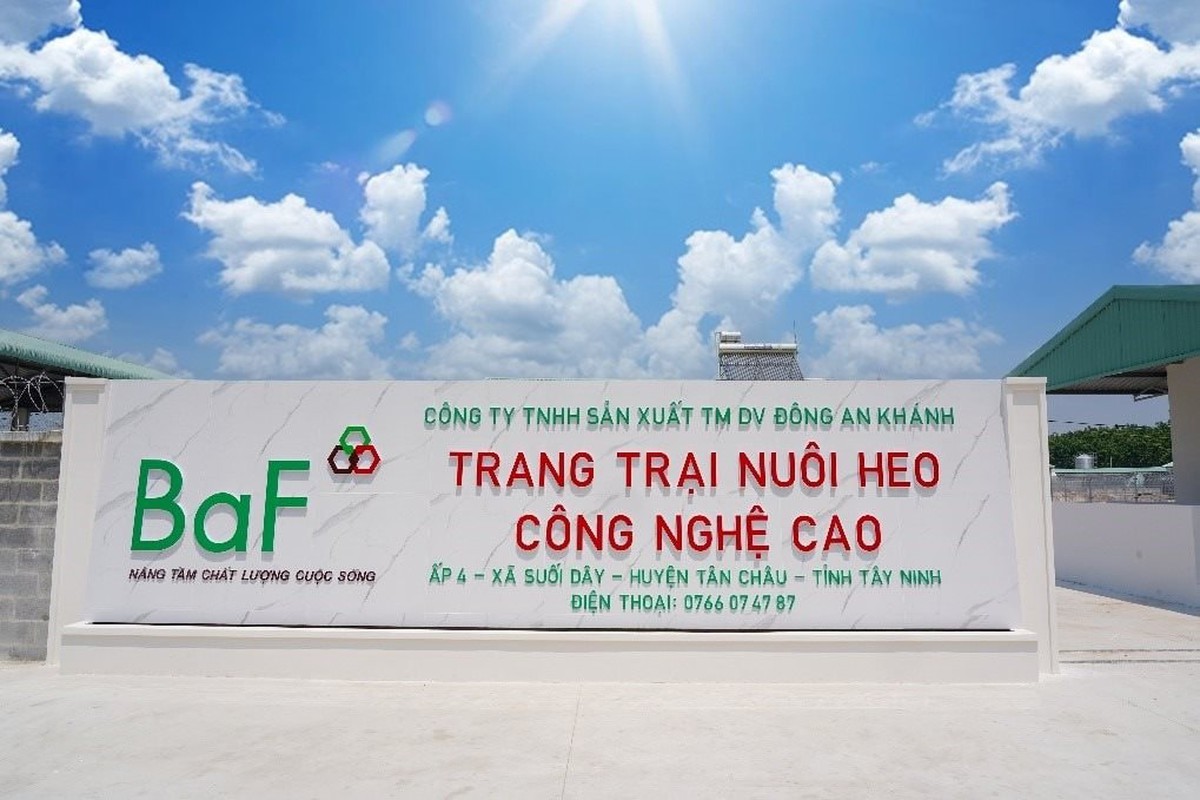 BAF Việt Nam vay vốn 50 triệu USD - Nguồn ảnh: cafebiz.vn