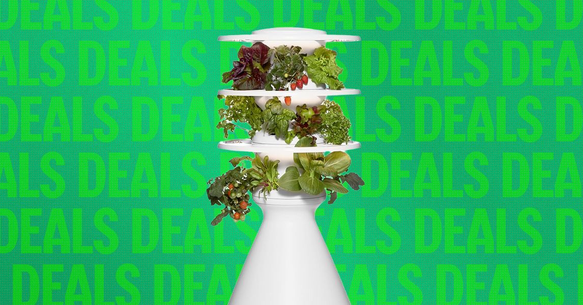 Indoor hydroponic garden - Nguồn ảnh: wired.com