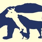 Ảnh minh họa từ ${$node["Webhook1"].json.body.source_name} về tài chính