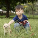 Ảnh minh họa từ ${$node["Webhook1"].json.body.source_name} về tài chính