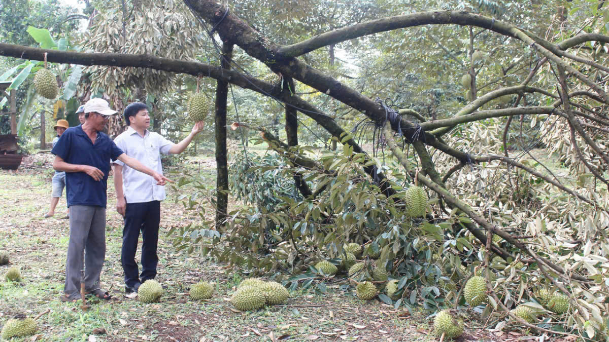 Lốc xoáy Đồng Nai - Nguồn ảnh: vtcnews.vn