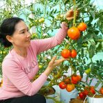 Ảnh minh họa từ ${$node["Webhook1"].json.body.source_name} về tài chính