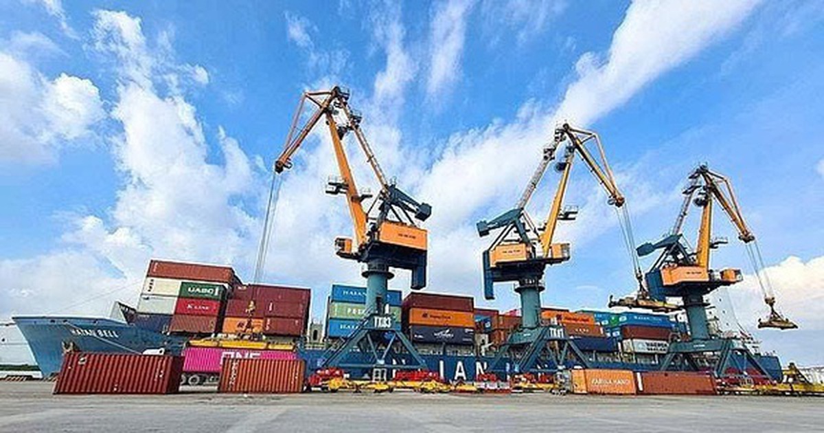 Xếp dỡ Hải An gia hạn ĐHĐCĐ - Nguồn ảnh: cafef.vn