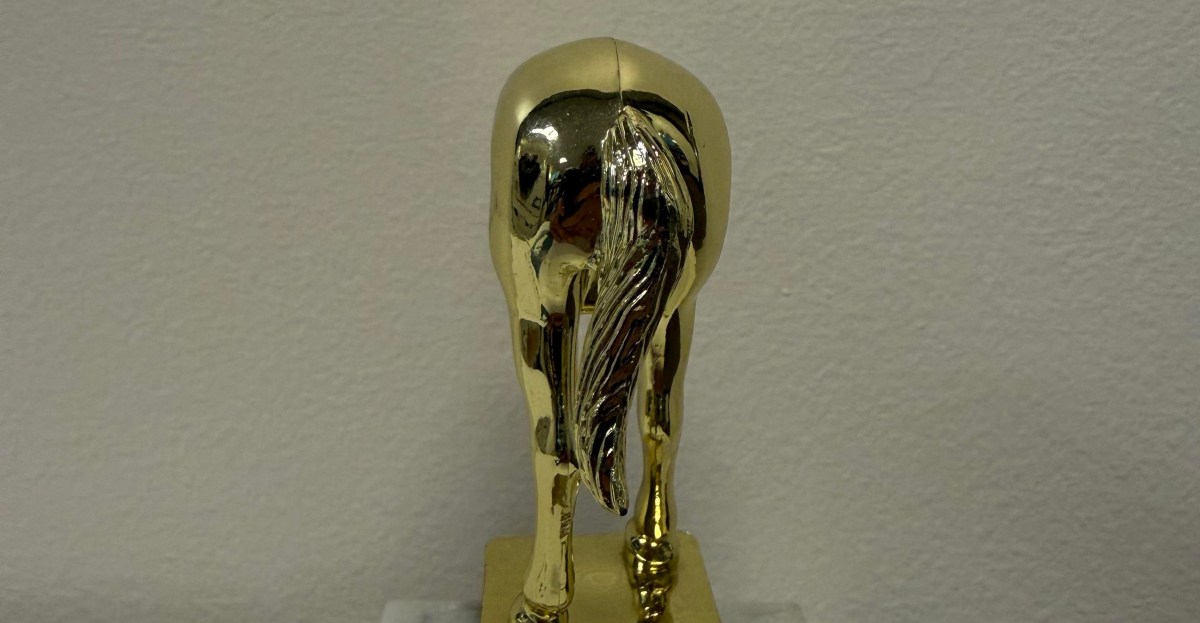 Elon Musk jackass trophy - Nguồn ảnh: theverge.com